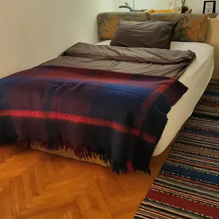 Homestay In Shared Artist's
