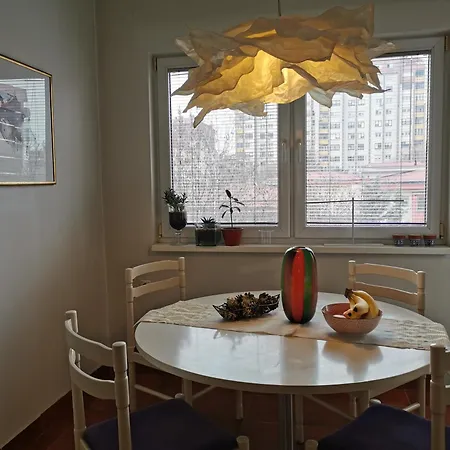 In Shared Artist's Homestay *